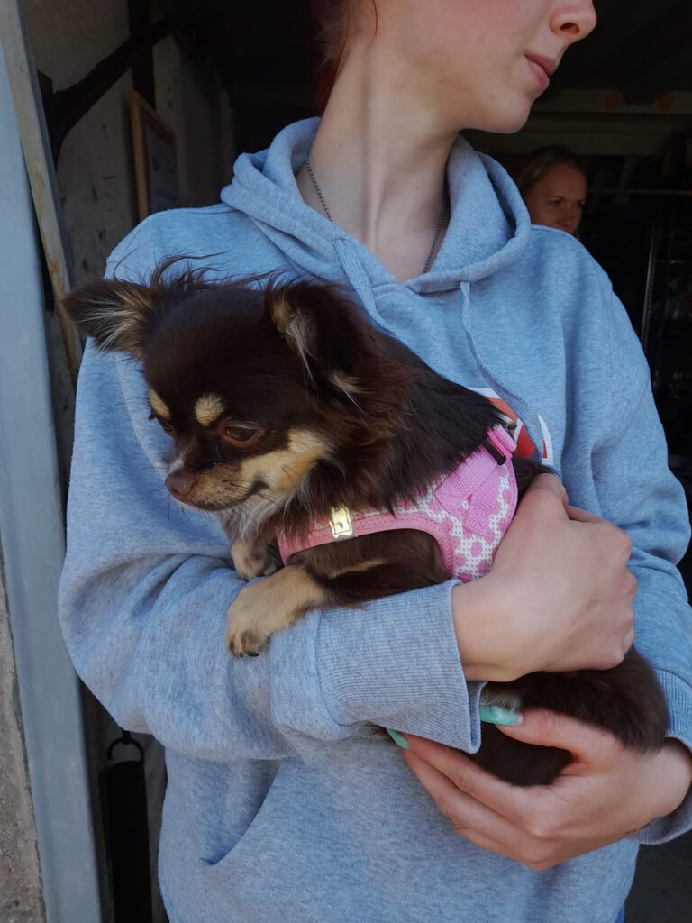 Erfolgreicher Aufnahmetag IMG 20230503 WA0000 768x1024