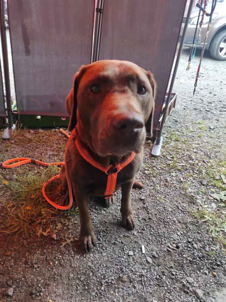 IMG 20230802 WA0022 766x1024