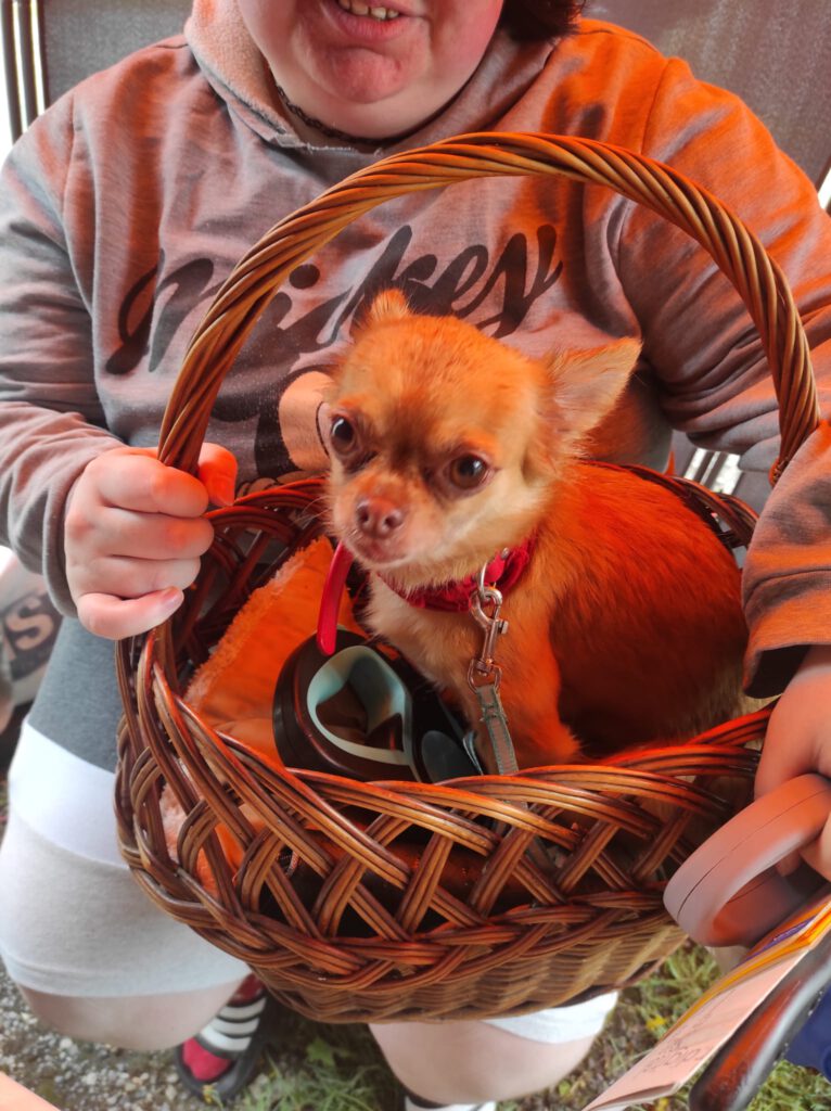 IMG 20230802 WA0023 766x1024