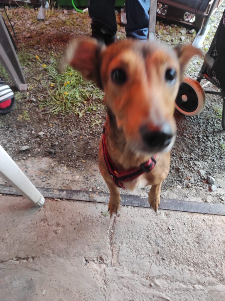 IMG 20230802 WA0024 766x1024