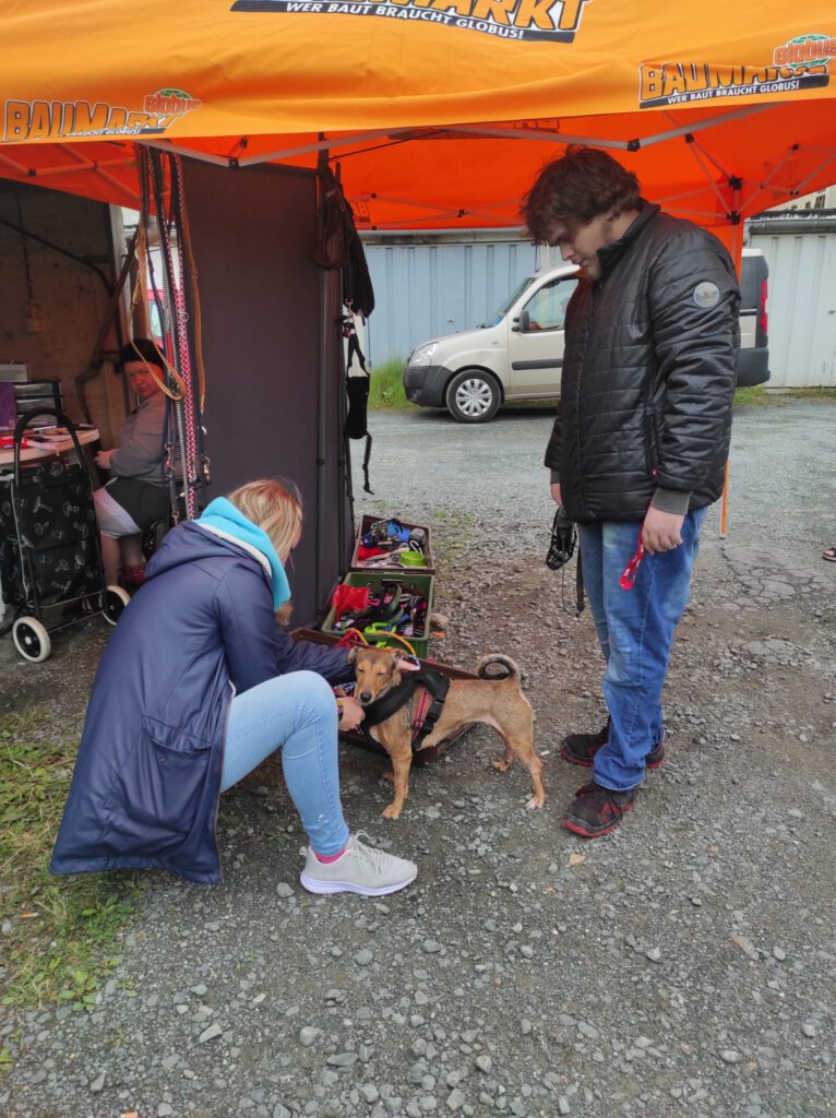 IMG 20230802 WA0026 766x1024