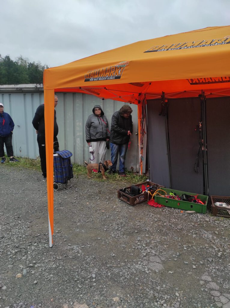 IMG 20230802 WA0029 766x1024