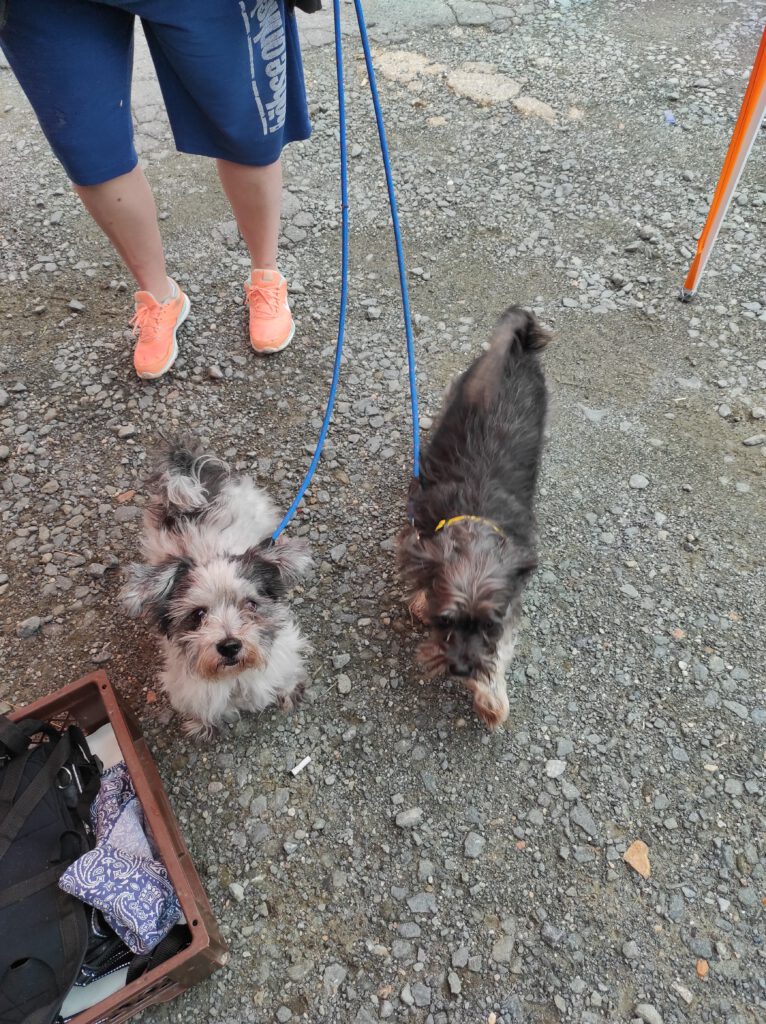 Img 20230802 135029726382203557163973 766x1024