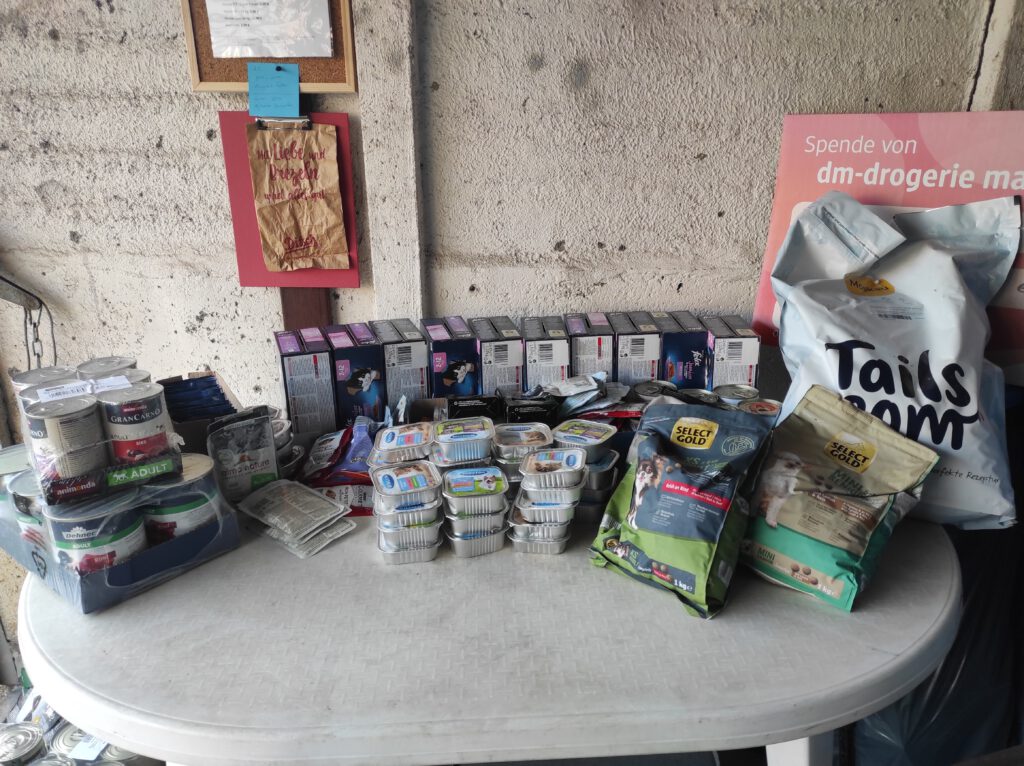 Img 20230927 0755381812258275197637935 1024x766