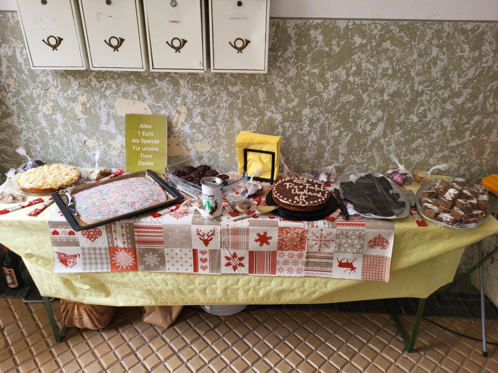 Img 20231112 Wa001159901308669371987 1024x768