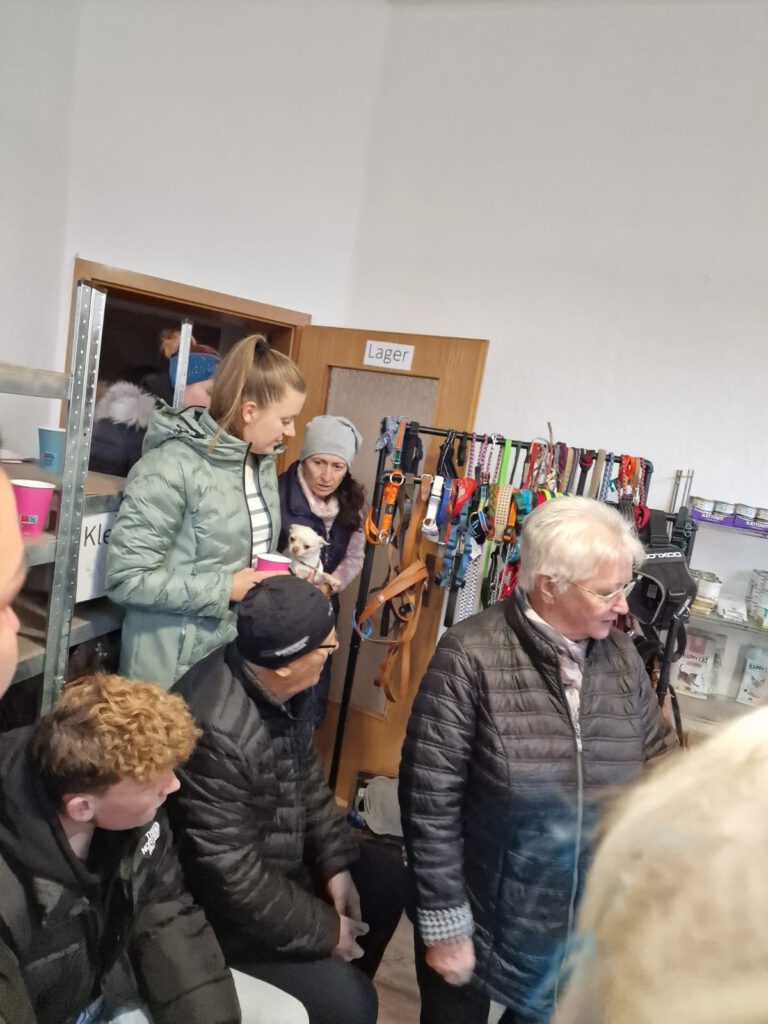 Img 20231112 Wa00258109011360955799040 768x1024