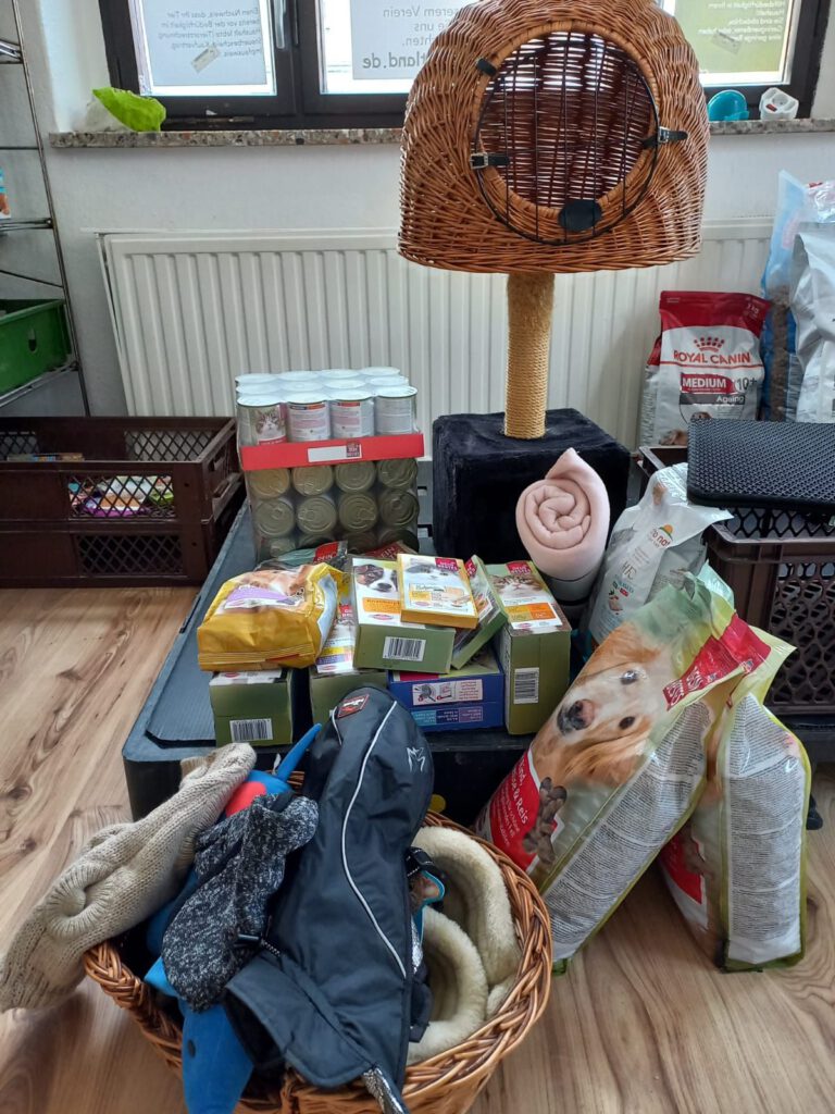 Img 20240106 Wa00032779631866173965042 768x1024