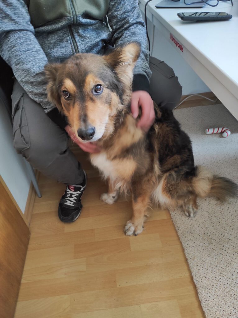 Img 20240302 1049122446723995929434720 766x1024