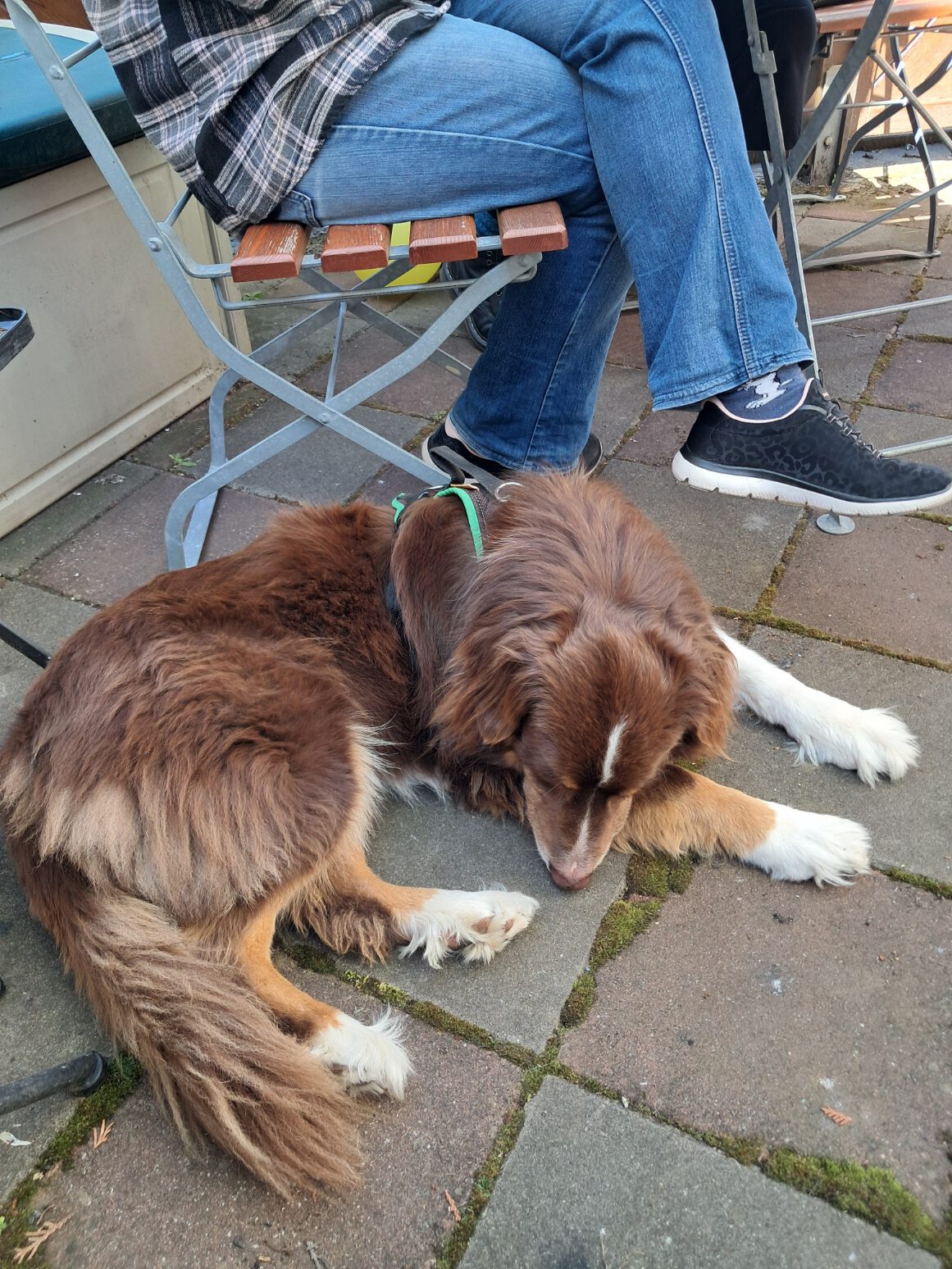 20250510 133751 Rotated