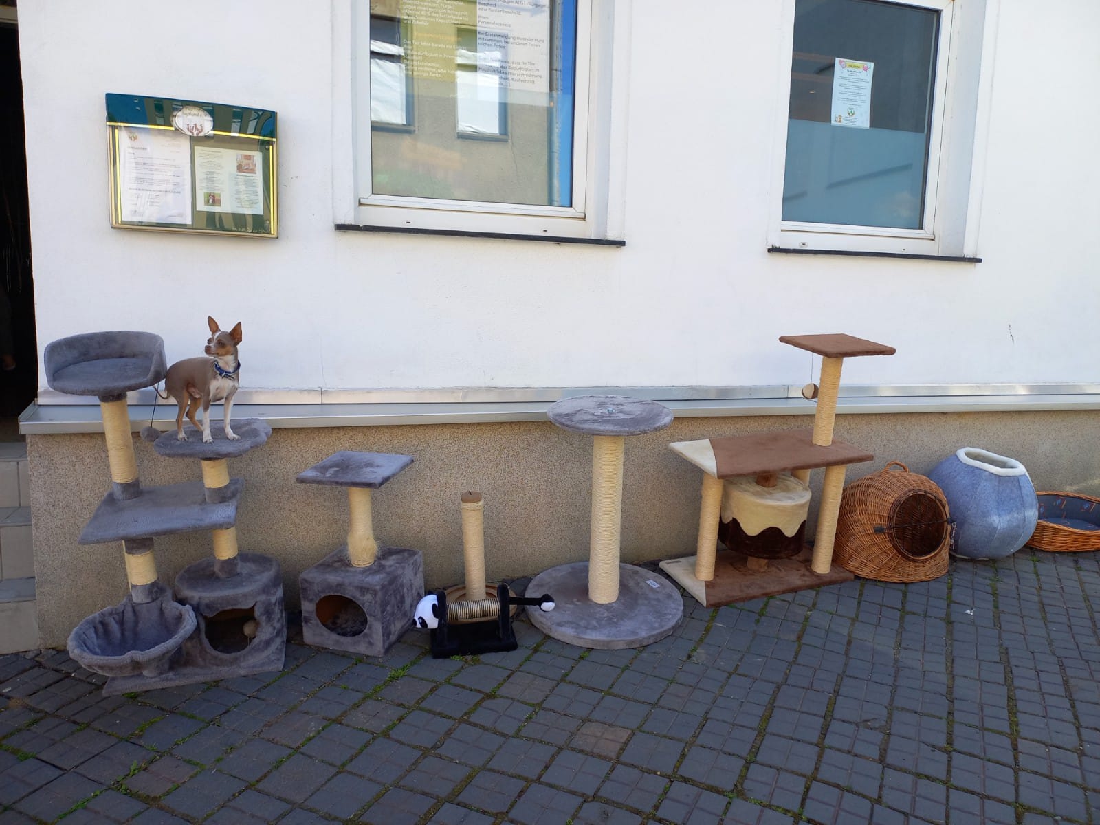 WhatsApp Bild 2025 05 11 Um 15.35.39 61832454 1