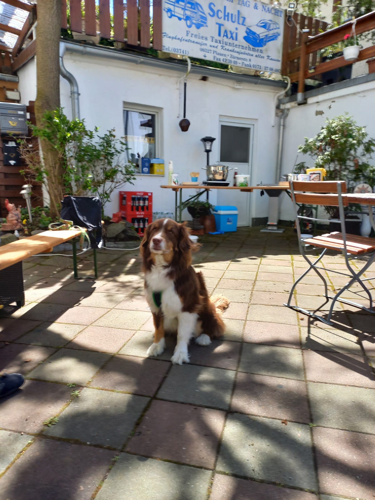 WhatsApp Bild 2025 05 11 Um 15.35.40 C9d83e5c 1