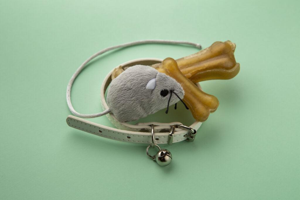 draufsicht auf haustierzubehor